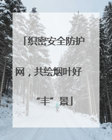 织密安全防护网，共绘烟叶好“丰”景