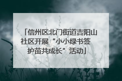 信州区北门街道吉阳山社区开展“小小绿书签 护苗共成长”活动