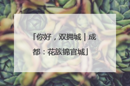 你好，双拥城｜成都：花簇锦官城
