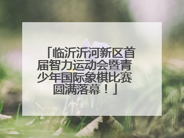 临沂沂河新区首届智力运动会暨青少年国际象棋比赛圆满落幕！