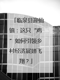 临泉县迎仙镇：这只“鸡”如何引领乡村经济展翅飞翔？