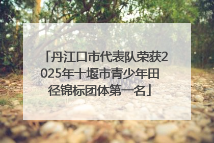 丹江口市代表队荣获2025年十堰市青少年田径锦标团体第一名