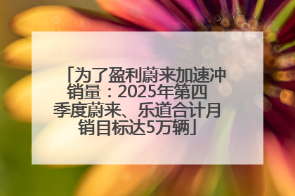 为了盈利蔚来加速冲销量：2025年第四季度蔚来、乐道合计月销目标达5万辆