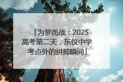为梦而战：2025高考第二天，东仪中学考点外的拼搏瞬间