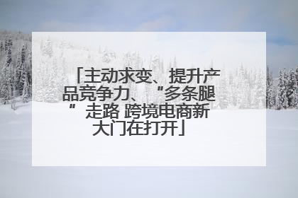 主动求变、提升产品竞争力、“多条腿”走路 跨境电商新大门在打开