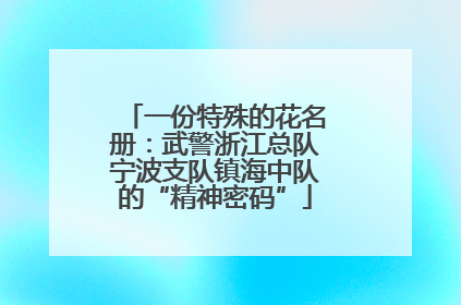 一份特殊的花名册：武警浙江总队宁波支队镇海中队的“精神密码”
