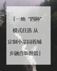 一地“四种” 模式任选 从定制小菜园看城乡融合新图景