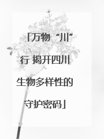 万物“川”行 揭开四川生物多样性的守护密码