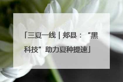 三夏一线｜郏县：“黑科技”助力夏种提速