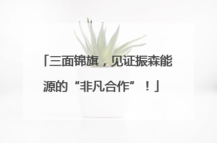 三面锦旗，见证振森能源的“非凡合作”！