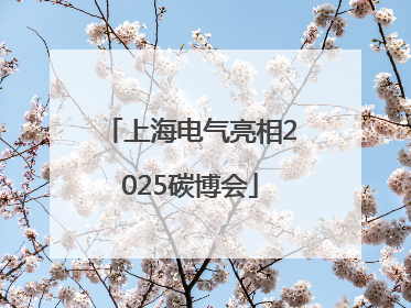 上海电气亮相2025碳博会
