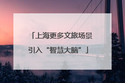 上海更多文旅场景引入“智慧大脑”