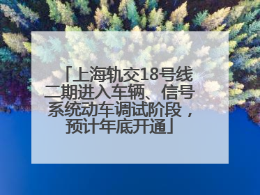 上海轨交18号线二期进入车辆、信号系统动车调试阶段，预计年底开通