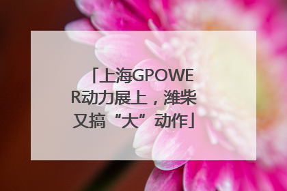 上海GPOWER动力展上，潍柴又搞“大”动作