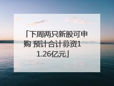 下周两只新股可申购 预计合计募资11.26亿元