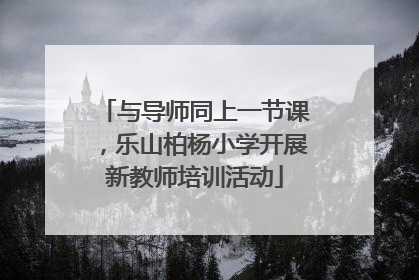 与导师同上一节课，乐山柏杨小学开展新教师培训活动