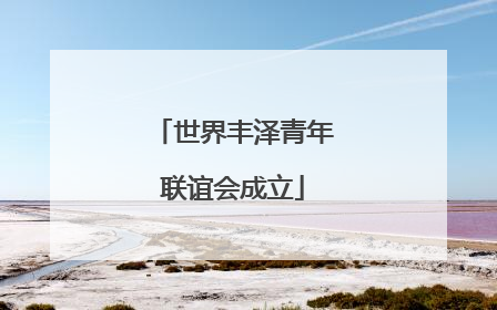 世界丰泽青年联谊会成立