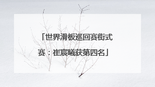世界滑板巡回赛街式赛：崔宸曦获第四名