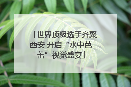 世界顶级选手齐聚西安 开启“水中芭蕾”视觉盛宴