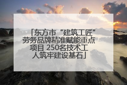 东方市“建筑工匠”劳务品牌精准赋能重点项目 250名技术工人筑牢建设基石