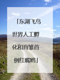 东湖飞鸟世界人工孵化和育雏首例红嘴鸥