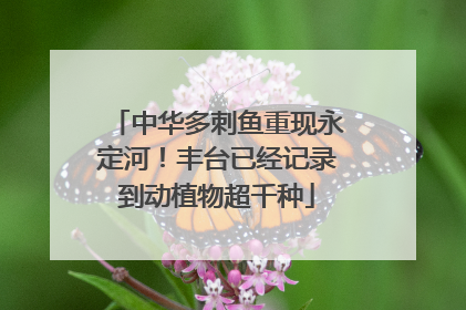 中华多刺鱼重现永定河！丰台已经记录到动植物超千种