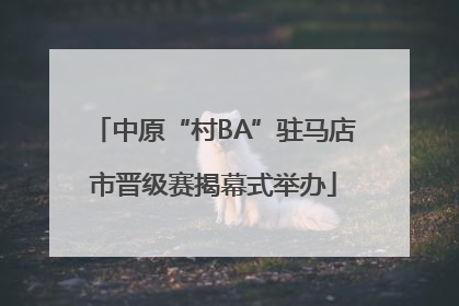 中原“村BA”驻马店市晋级赛揭幕式举办
