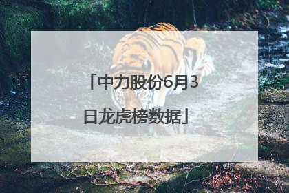中力股份6月3日龙虎榜数据