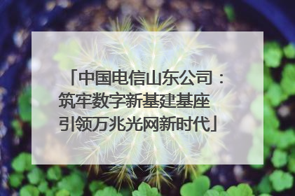 中国电信山东公司：筑牢数字新基建基座 引领万兆光网新时代