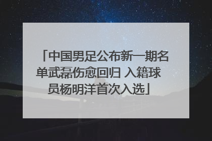 中国男足公布新一期名单武磊伤愈回归 入籍球员杨明洋首次入选