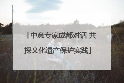 中意专家成都对话 共探文化遗产保护实践