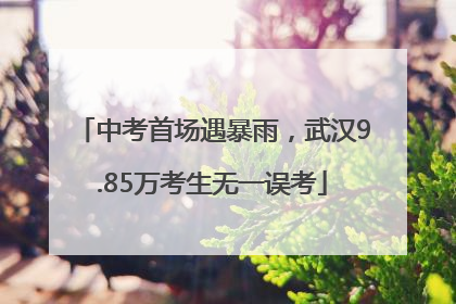 中考首场遇暴雨，武汉9.85万考生无一误考