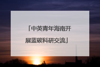 中英青年海南开展蓝碳科研交流
