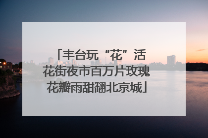 丰台玩“花”活 花街夜市百万片玫瑰花瓣雨甜翻北京城