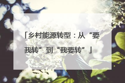 乡村能源转型：从“要我转”到“我要转”