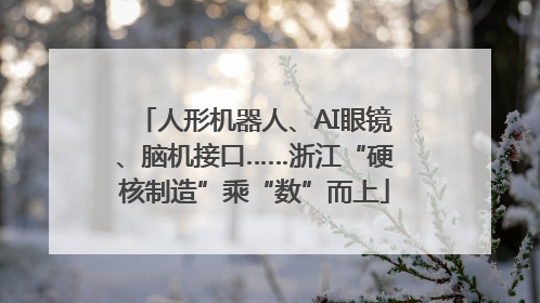 人形机器人、AI眼镜、脑机接口……浙江“硬核制造”乘“数”而上