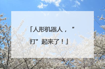 人形机器人，“打”起来了！
