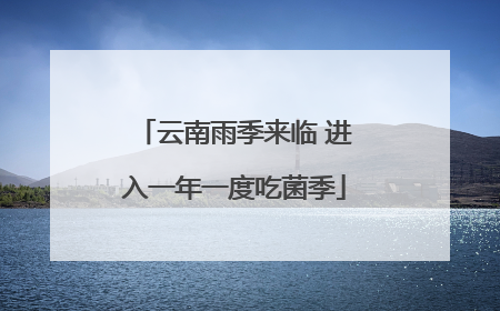 云南雨季来临 进入一年一度吃菌季