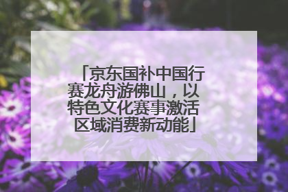 京东国补中国行赛龙舟游佛山，以特色文化赛事激活区域消费新动能