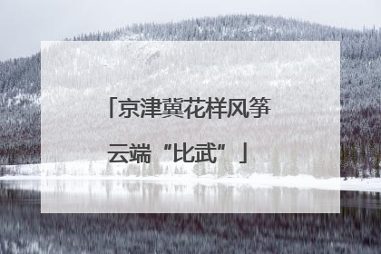 京津冀花样风筝云端“比武”