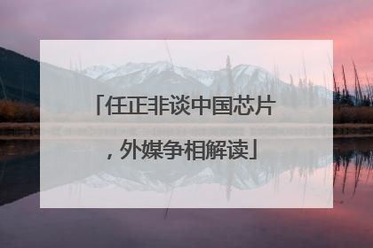 任正非谈中国芯片，外媒争相解读