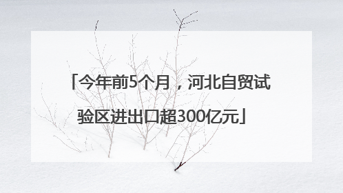今年前5个月，河北自贸试验区进出口超300亿元