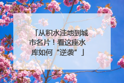 从积水洼地到城市名片！看这座水库如何“逆袭”