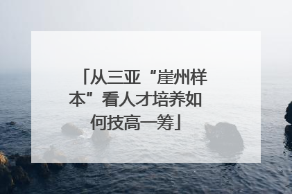 从三亚“崖州样本”看人才培养如何技高一筹