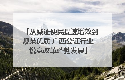 从减证便民提速增效到规范优质 广西公证行业锐意改革蓬勃发展