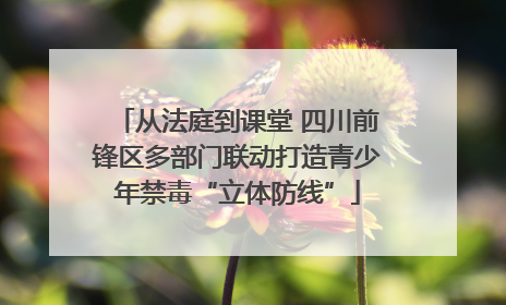 从法庭到课堂 四川前锋区多部门联动打造青少年禁毒“立体防线”