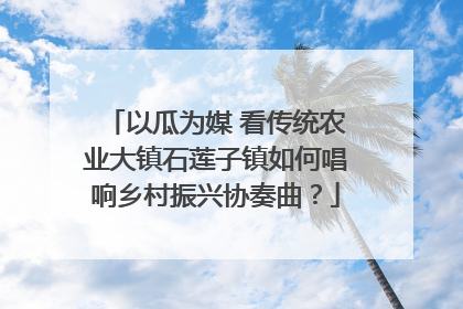 以瓜为媒 看传统农业大镇石莲子镇如何唱响乡村振兴协奏曲？