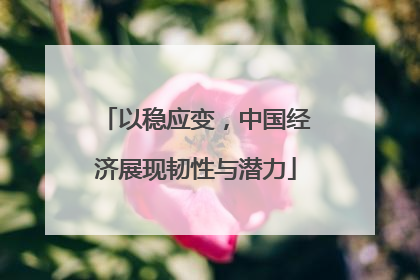 以稳应变，中国经济展现韧性与潜力