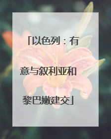以色列：有意与叙利亚和黎巴嫩建交