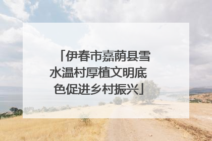 伊春市嘉荫县雪水温村厚植文明底色促进乡村振兴